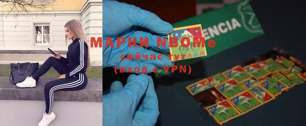 индика Баксан