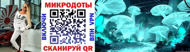 Галлюциногенные грибы Psilocybine cubensis  купить наркоту  Белово 